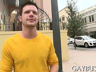 hint of wild gay sucking in action