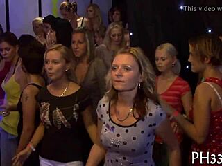 dare to watch this wild groupsex chaos?