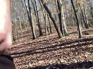 Nature Walk Cum Blast