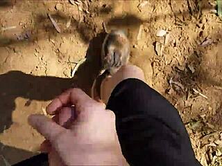 Public Hairy Jerk Off Session In The Bush Now