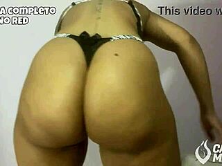 Latina's Fierce Big Ass Dance Show