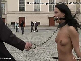 Naked Babe Drags Chariots Publicly