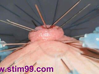my extreme nipple piercing with squirting saline