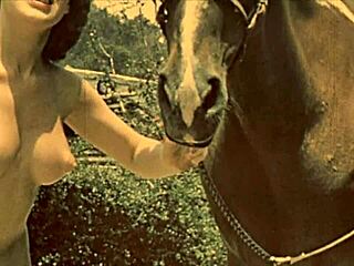 Retro Women’s Shocking Animal Encounters Unveiled