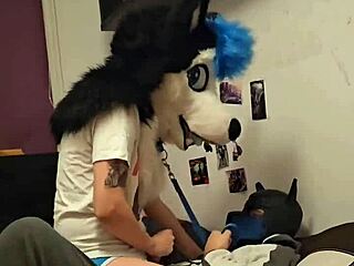 What makes femboy husky cum while riding?