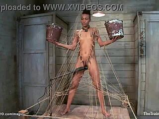 Ebony Nikki Darling Bound Whipped Hard