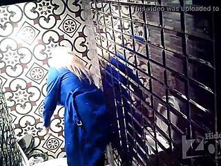 Blonde's Relentless Fuck in Club Toilet