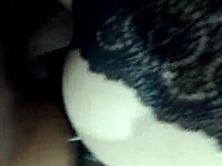 My Prima's Fierce Pussy Fuck With Cachetero
