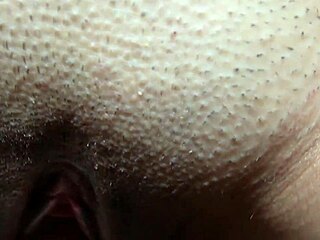Intense Anal with Wives and Kin