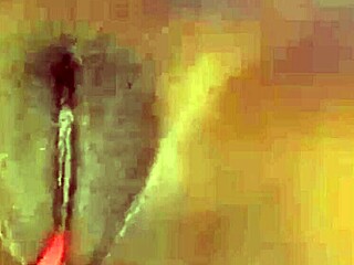 Sexystacy7 Shows Off Best Cameltoe Pussy On Xvideos