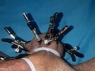 Teasing cock with clamps all over