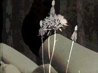 Retro Hairy Fuck In Steam Age Porn