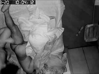 Spy Cam Captures Morning Action from Mouth to Backdoor