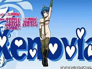 Anime Belly Dancing Girls Teasing Fan Service