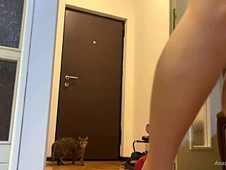 Stripped Panties for Delivery Guy as Gift