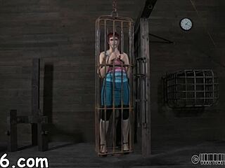 Four Beauties Trapped Inside Petite Cage