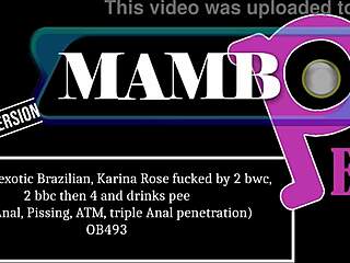 Very Slim Exotic Brazilian Karina Rose Fucked Hard by Multiple BWC and BBC