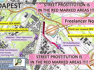 Budapest sex map exposes raw street action