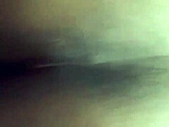 Curvy ebony bbw model bends over in doggystyle pose for photoshoot