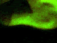 Blowjob With Intense Cock Sucking And Oral Action