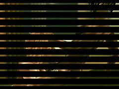 Sioimvu Stretched To Orgasm In Intense Session