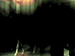 vintage ancient hairy old retro pornography evoking deep emotions