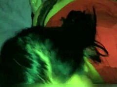 suck that cock so good! amateurs giving blowjob