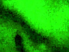 Verification Video For Account Confirmation