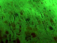 Maria Ivanova asks, Ready for anal quest?