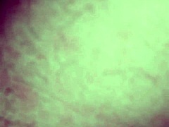 Tasting My Girlfriend's Pussy with Cum Delight