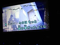 japanese no 1 internet karaoke men singing