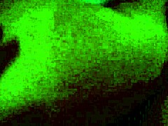 Peruvian Amateur Girl Enjoys Intimate Moments in Her Home