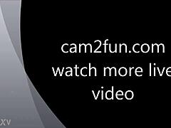 Free Webcam Video Streaming Live