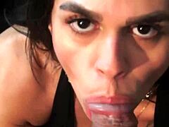 This cute girl teases with a wet blowjob on monster cock.