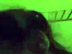 Keri And Jay's Intense Blowjob Fun