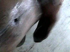 I'm enjoying this handjob on my monster cock