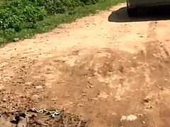 the cheap sloth i picked from the road was offered to my homie to handle