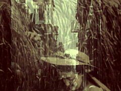 have you seen dark lantern's two centuries of vintage porn fucking