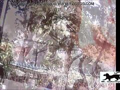 Street Cat Adventure 1