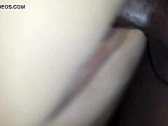 Milf enjoys big black cock in doggystyle hd
