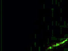 She Got Me Right With Monster Cock Sucking Big Black Cock Blowjob