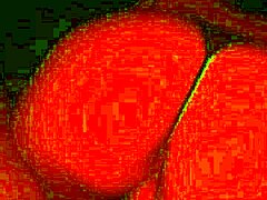 Chupando mi verga como una experta mi rica puta con grandes tetas y culo.