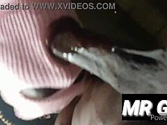 African Teen Slave Slut Deepthroats Monster BBC In BDSM