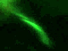 BBW Sucking Big Black Cock Hard!