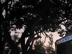 Fui A Uma Festa E Conheci Um Amigo Novo E Levei Pra Casa Ele Gozou Dentro De Mim - Creampie