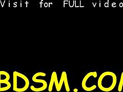 I Feel So Aroused Watching This Brunette Babe Endure Hardcore Toy Pleasuring In Intense BDSM Slave Session