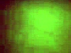 Big booty got teased and explored in this amateur clip with some serious ass action