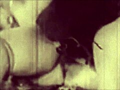 Specific: Dark Lantern Entertainment Shows Two Centuries Of Detailed Vintage Porn Scenes With Hairy Pussy Blowjobs