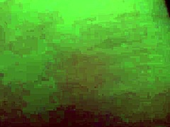 wet pussy and ass of my neighbor prostitute