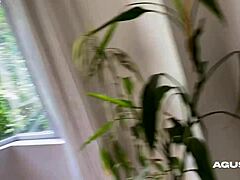 Young curvy Colombian chick craves my cock in her fat ass and cum on huge tits